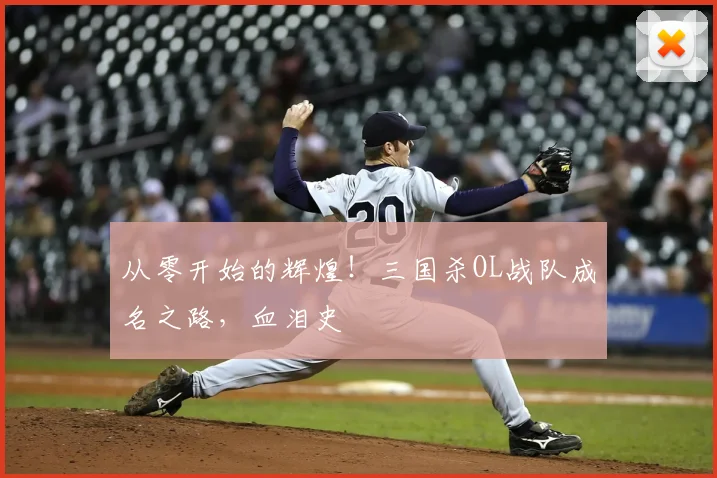 从零开始的辉煌！三国杀OL战队成名之路，血泪史