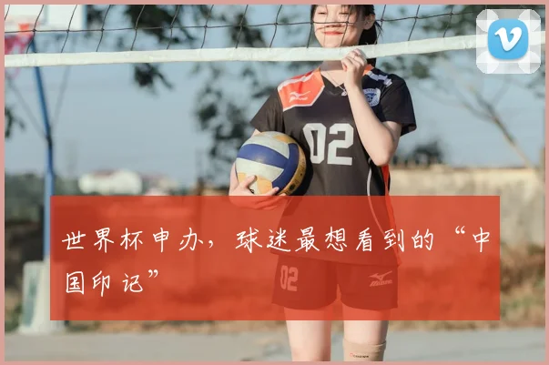 世界杯申办，球迷最想看到的“中国印记”