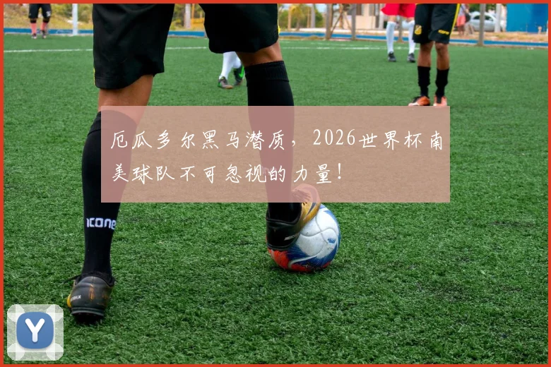 厄瓜多尔黑马潜质,2026世界杯南美球队不可忽视的力量!
