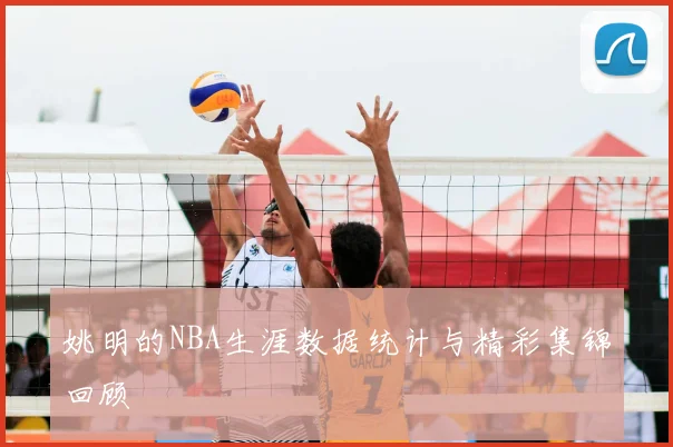 姚明的NBA生涯数据统计与精彩集锦回顾