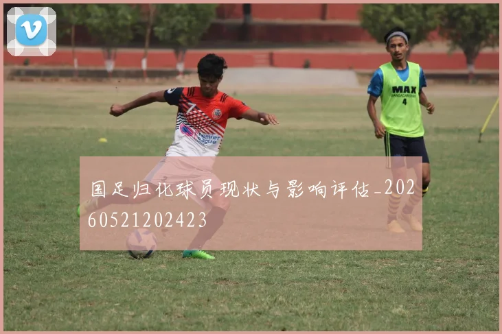 国足归化球员现状与影响评估_20260521202423